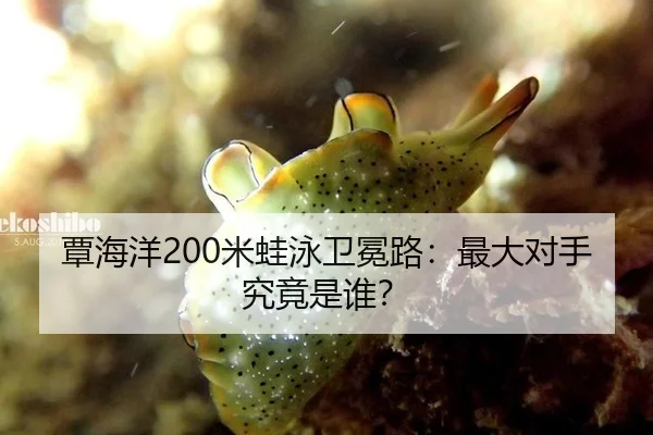 tan-hai-yang-mi-wa-yong-wei-mian-lu-zui-da-dui-shou-jiu-jing-shi-shui-3-877.jpg